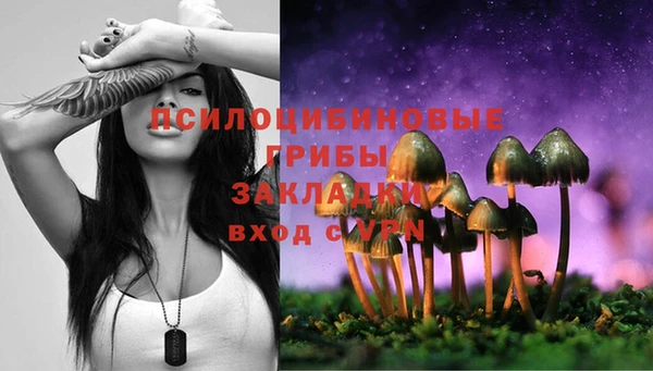круглые Абаза